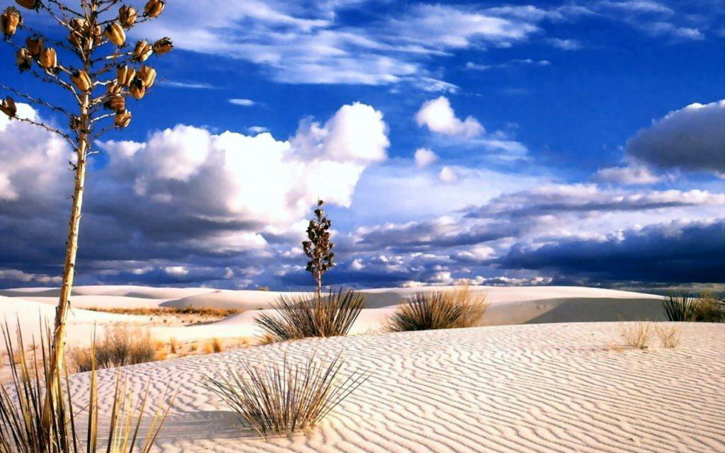 desert_9