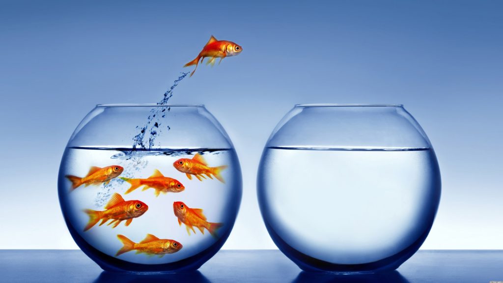 how to be free